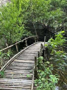 Stanley Joe tweet media