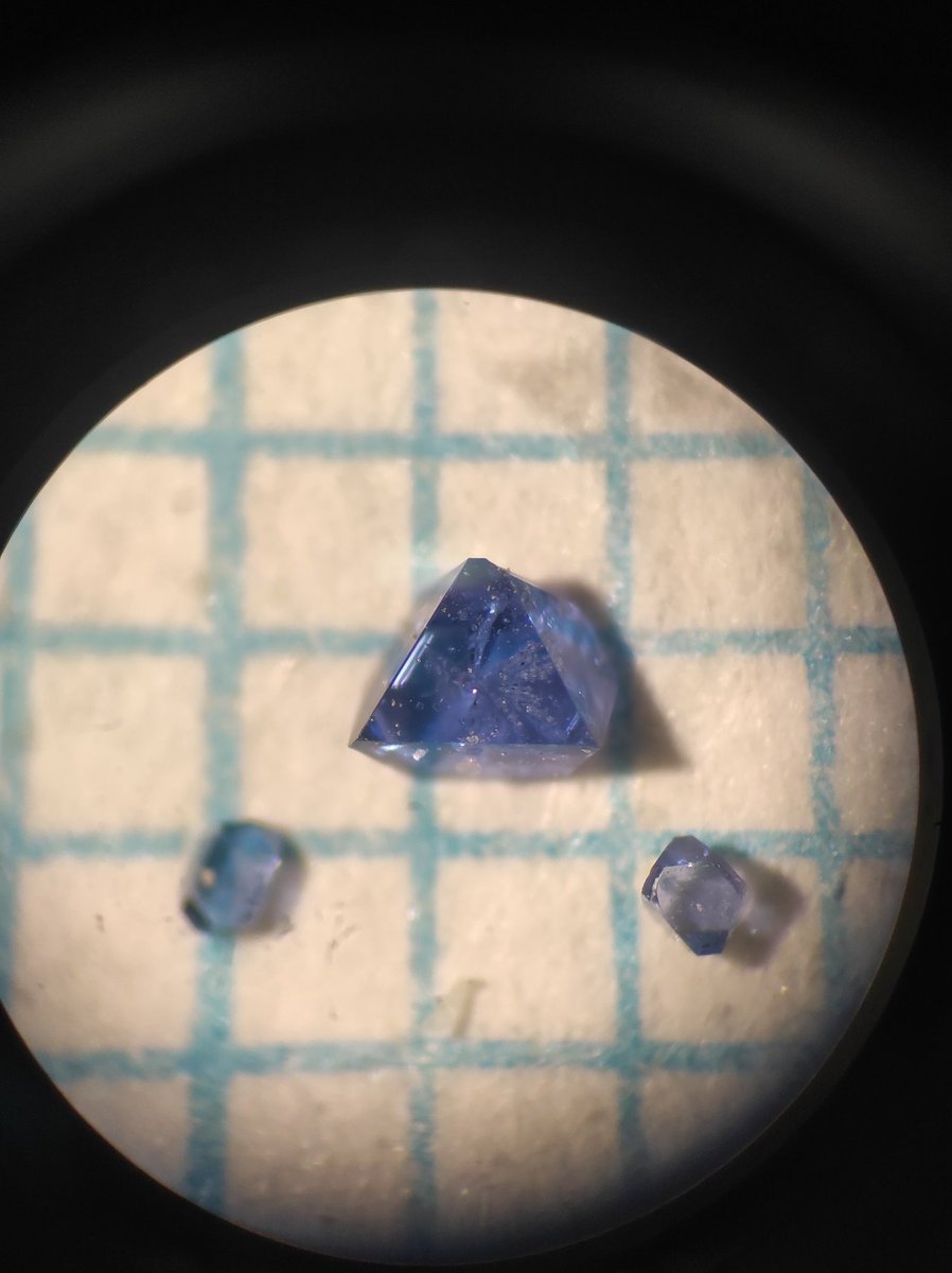 Lidija Posavec tweet media