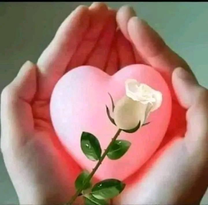 #ملك_الدعم_والاضافات👑 #دعم_علياء_الحناوى👒
🪷<a href="/fwad24/">ﻓ̲̣̐ؤاد</a>
🪷<a href="/fwad25/">fouad alshihab</a>
🪷@aliaa_elhinawy
🪷@WestwardFree
🪷@HyfaRbyh
🪷 <a href="/Arsanti76/">Tyas Arsanti ⌘ Energy Labs</a>
🪷<a href="/mmdlsry18975151/">محمد احمد</a>
🪷@IfbIndri
🪷<a href="/Ma_io_1/">💙🇸🇦 #ميود_الغامدي🇸🇦 💙</a>
🪷@mobwm_7mob
🪷<a href="/logiemo/">Randy</a>
🪷@himoo__93
🪷@nano9_01
🪷@sarasino55
🪷@firedragoon7300
🪷<a href="/Ahmf541Ahmed/">العراق واحد</a>
🪷@Altayib_220