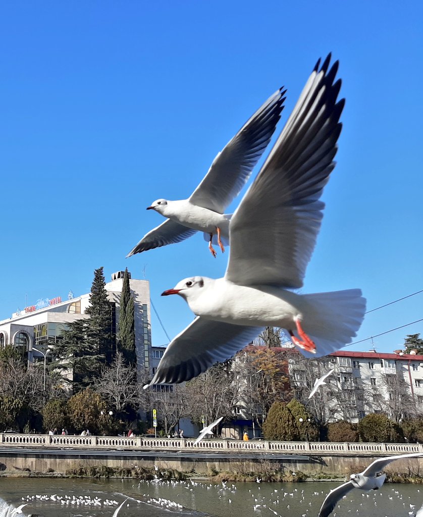 I wish everyone a free flight and sunny days! Love💙💙💙
#Nfts #nftarti̇st