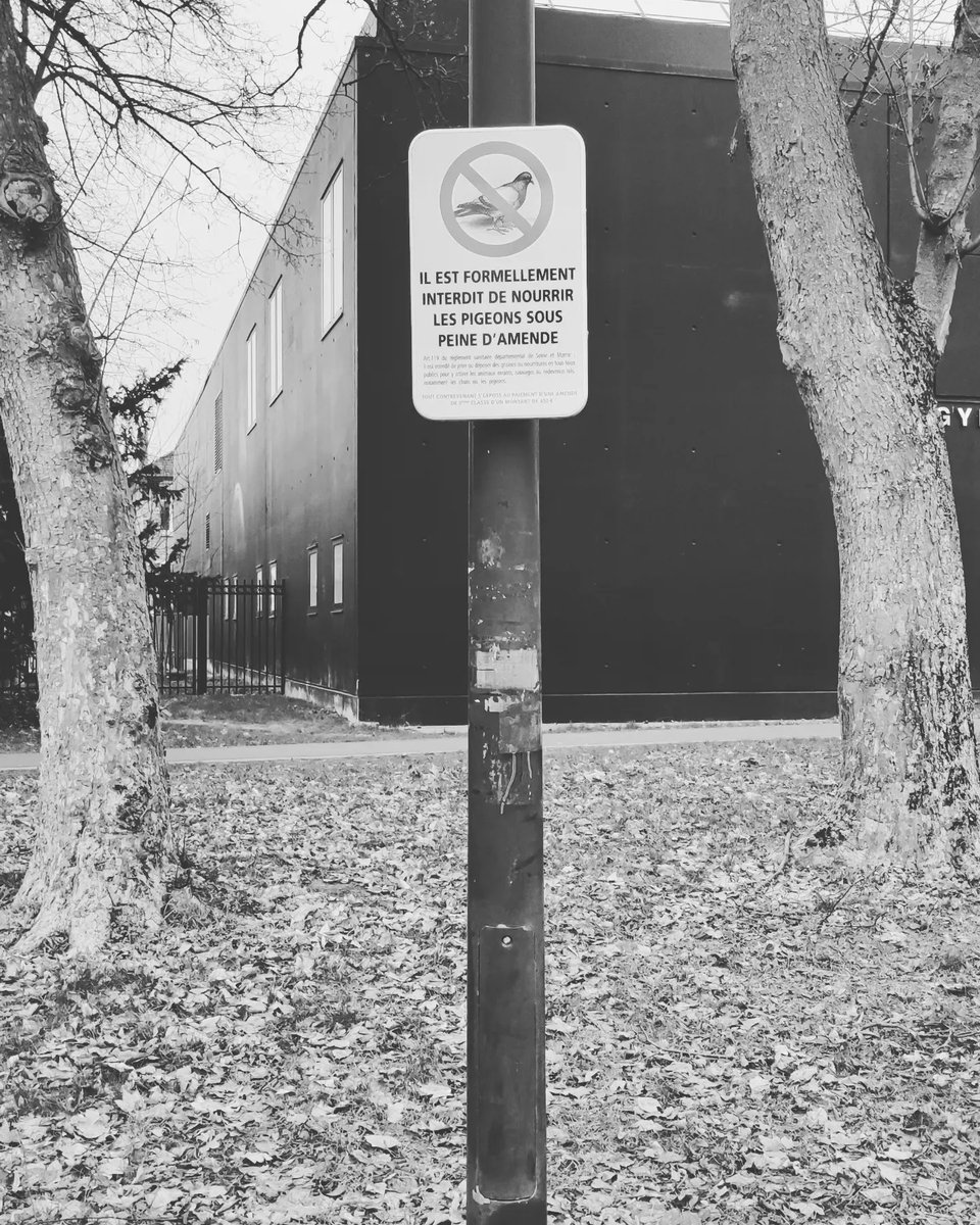 onana_divine's tweet image. The Ligieia Project
*Extrapolation

- Huh?!?

#extrapolation #exageration #kingsofthenation  #papamama #extermination #art #artist #woman #paris
#divinesecrets