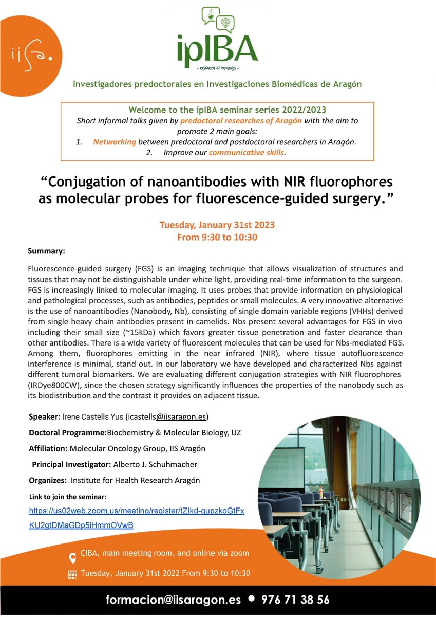 IISAragon's tweet photo. El próximo 31 de enero organizamos el seminario #IpIBA “Conjugation of nanoantibodies with NIR fluorophores as molecular probes for fluorescence-guided surgery" https://t.co/s3BjYqAmrv https://t.co/VdTeamAaXK