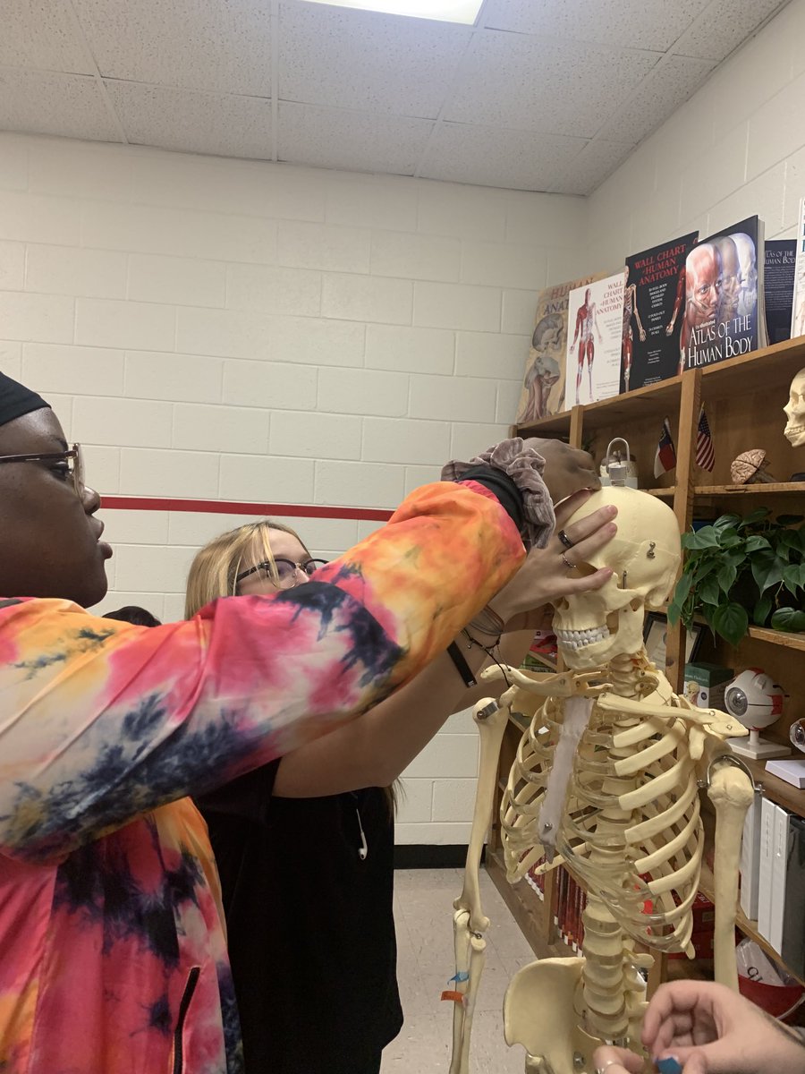 Active engage learning is amazing. Then the student discussion is deep.  Fred, the Skelton is so helpful. #everychildeverychanceeveryday @lifestrapestry
