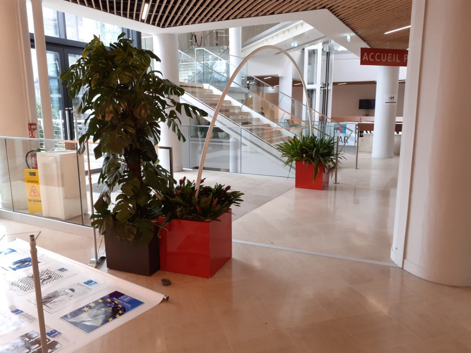 Angers_Jardins's tweet photo. L’équipe déco de la direction parcs jardins et paysages #Angers est intervenue sur le décor du @PremiersPlans les végétaux sont préparés au centre technique parcs et jardins puis acheminés au Centre des Congrès, de belles plantes vertes mises en lumières ! 🪴❤️#AngersSupernature https://t.co/n8IYIZAR9H