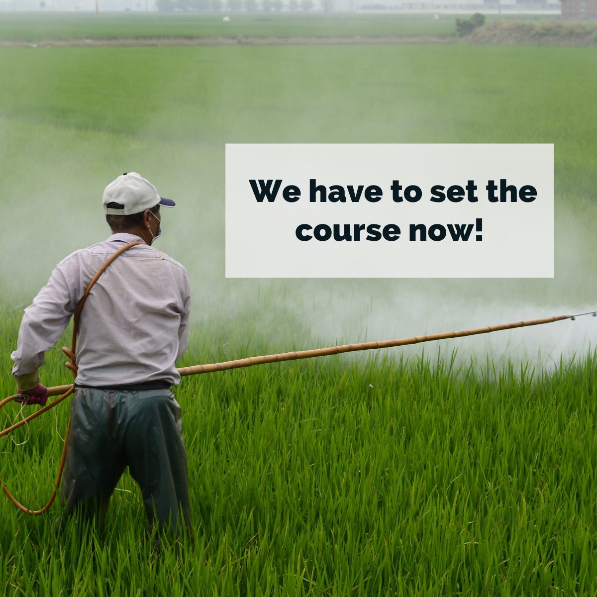 biovision_org's tweet photo. Never before in history pesticides have been used so pervasively! The amount of pesticides used worldwide has increased by 80 % since 1990. ☠️
Traces of pesticides used in #agriculture can be found everywhere –Even in the air–💨⛅️ 
⚠️It’s time 4 #change
⚠️It’s time 4 #agroecology https://t.co/tOT3bw0051