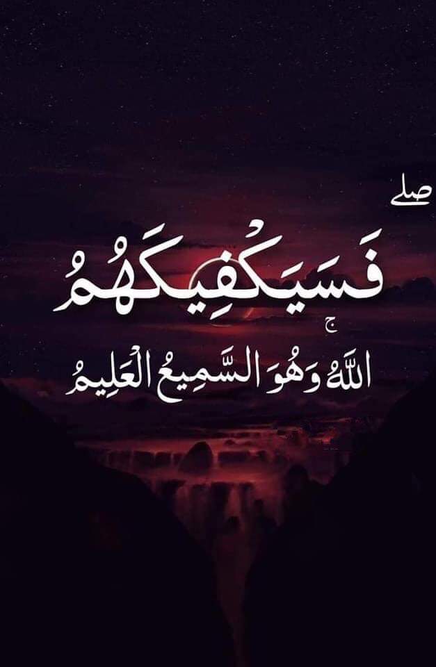 مريانا الخطيب tweet media