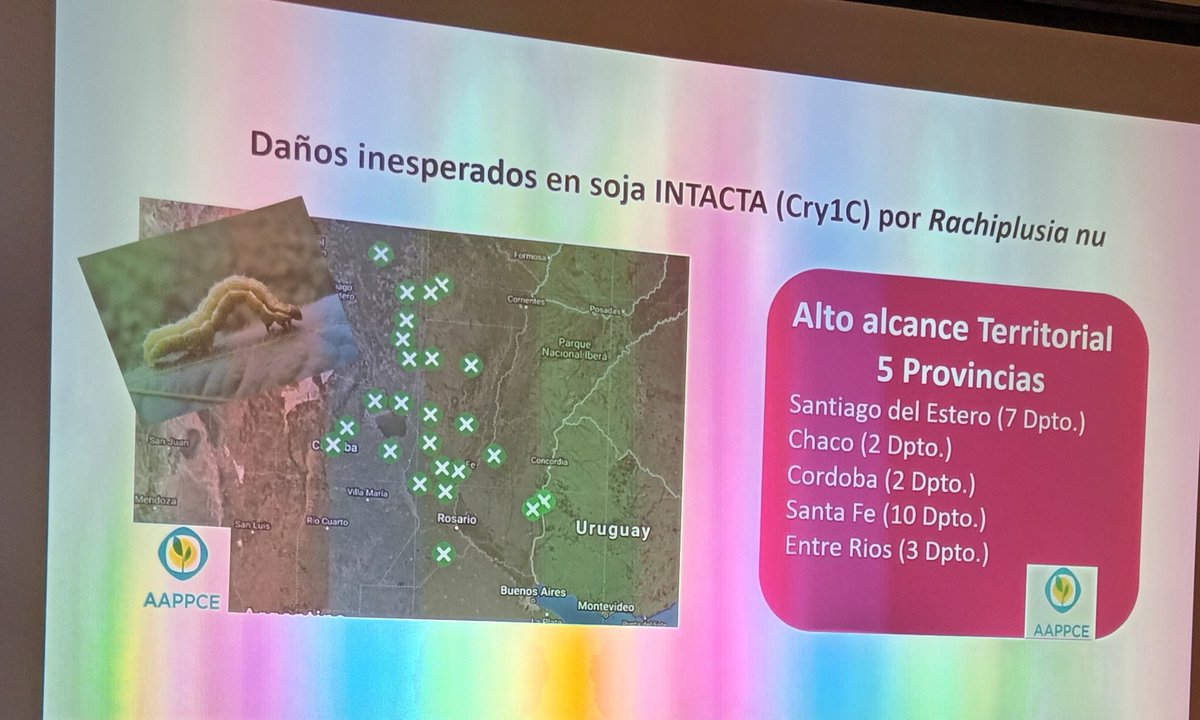 Natalia Schmithalter tweet media