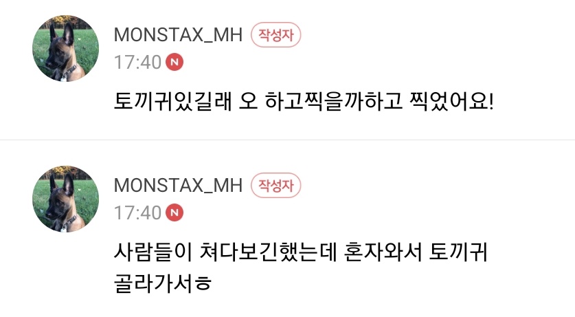 추박 tweet media