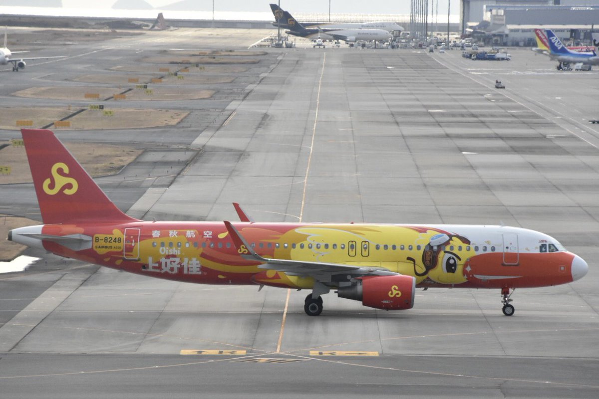 AirplaneVictory's tweet image. January 26 2023
Spring Airlines A320 Oishi Livery
in KIX/RJBB
#SpringAirlines #OishiLivery
#KIX  #RJBB