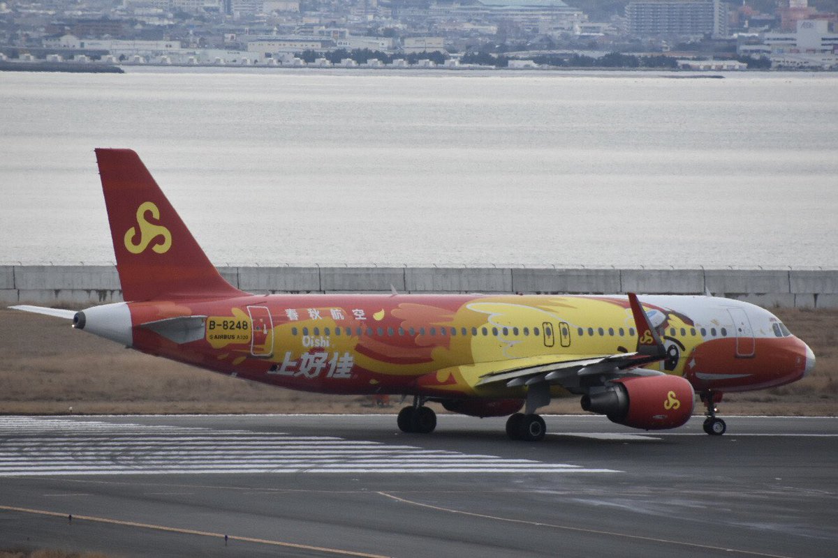 AirplaneVictory's tweet image. January 26 2023
Spring Airlines A320 Oishi Livery
in KIX/RJBB
#SpringAirlines #OishiLivery
#KIX  #RJBB