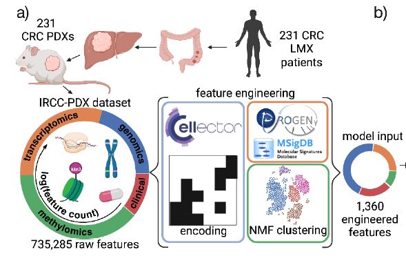 ManelEsteller's tweet image. Glad to be part of this beautiful story, now at @biorxivpreprint, where @Francesco_i0ri0 @IorioLab @liviotrusolino and Andrea Bertotti groups show how #multiomics (of course including #epigenomics) of #colorectalcancer #pdx predicts response to #cetuximab! biorxiv.org/content/10.110…