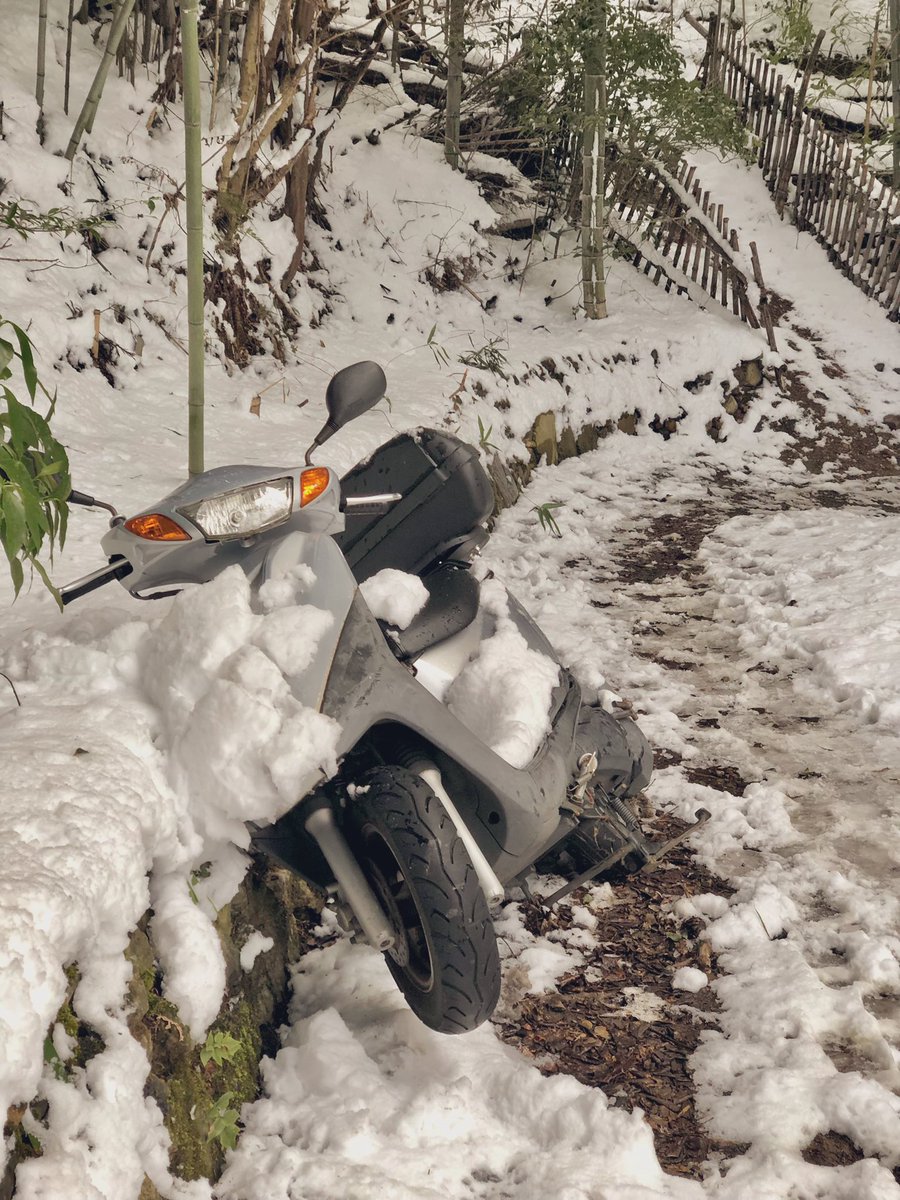 JenzoJp's tweet photo. 雪道のヘアピンコーナーを絶妙なバランスで駆け抜けフルスロットルで立ち上がり右足蹴りで踏ん張りウイリー！ ...した所でまさかのタイムリープ ...相当なツワモノなはず👀😆😂
#ほんとは遊歩道 #なんで此処に #雪で色々あったんやろなぁ #答えを知りたい #本当はどうでもいい笑 #たまに歩くと楽しいわ https://t.co/IVMUao5EOh