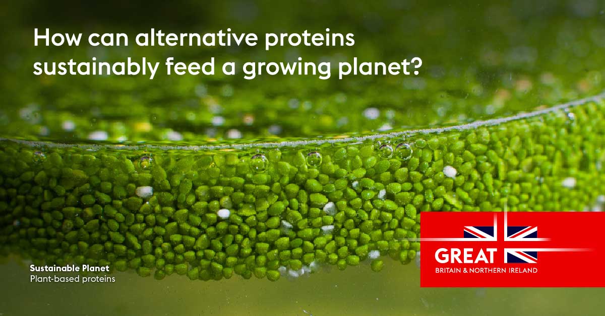 Alternative proteins require fewer natural resources such as arable land and water, while emitting fewer greenhouse gases, making them ideal in markets like the Middle East, where water is scarce.

Find the right #agritech solutions for your business bit.ly/3isXIvx