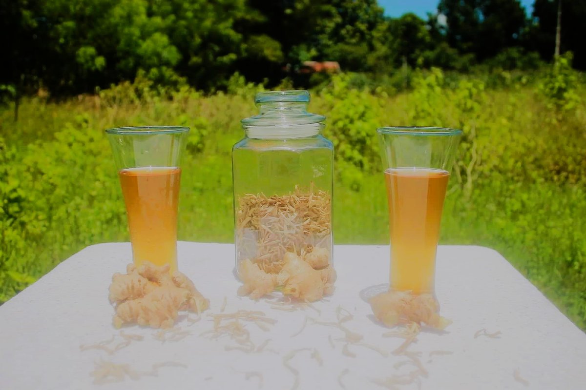 cagayanturismo's tweet image. #THIRSTDay | Kombucha: a fermented drink made with tea, sugar, and symbiotic culture of bacteria and yeast.

Experience endless delight as you sip this locally produced kombucha tea from Tuguegarao City, Cagayan. Support local. Drink local. 

PalaMig Kombucha

#endlessfuncagayan