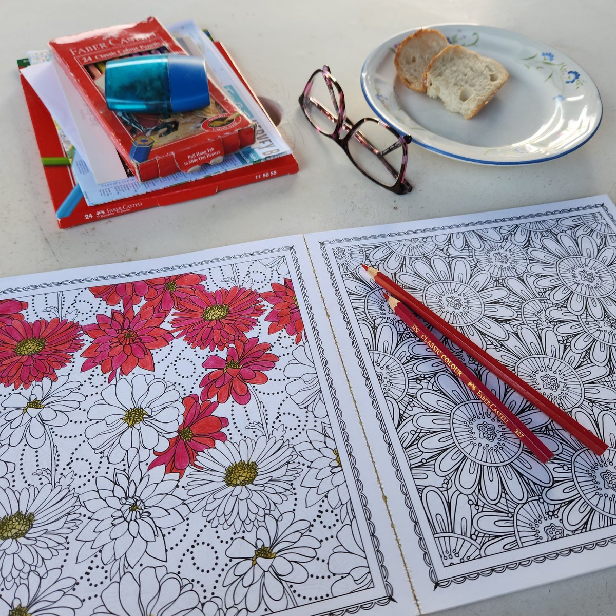 ravenwings76's tweet image. chilling on Australia Day 🇦🇺 #tweetmyview