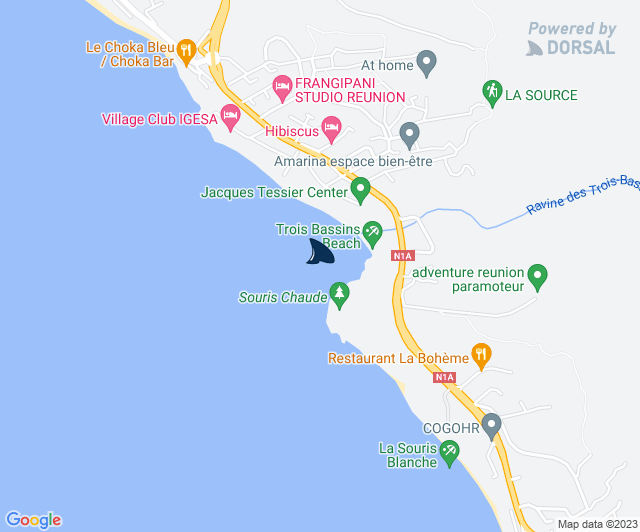 Centre Sécurité Requin tweet media