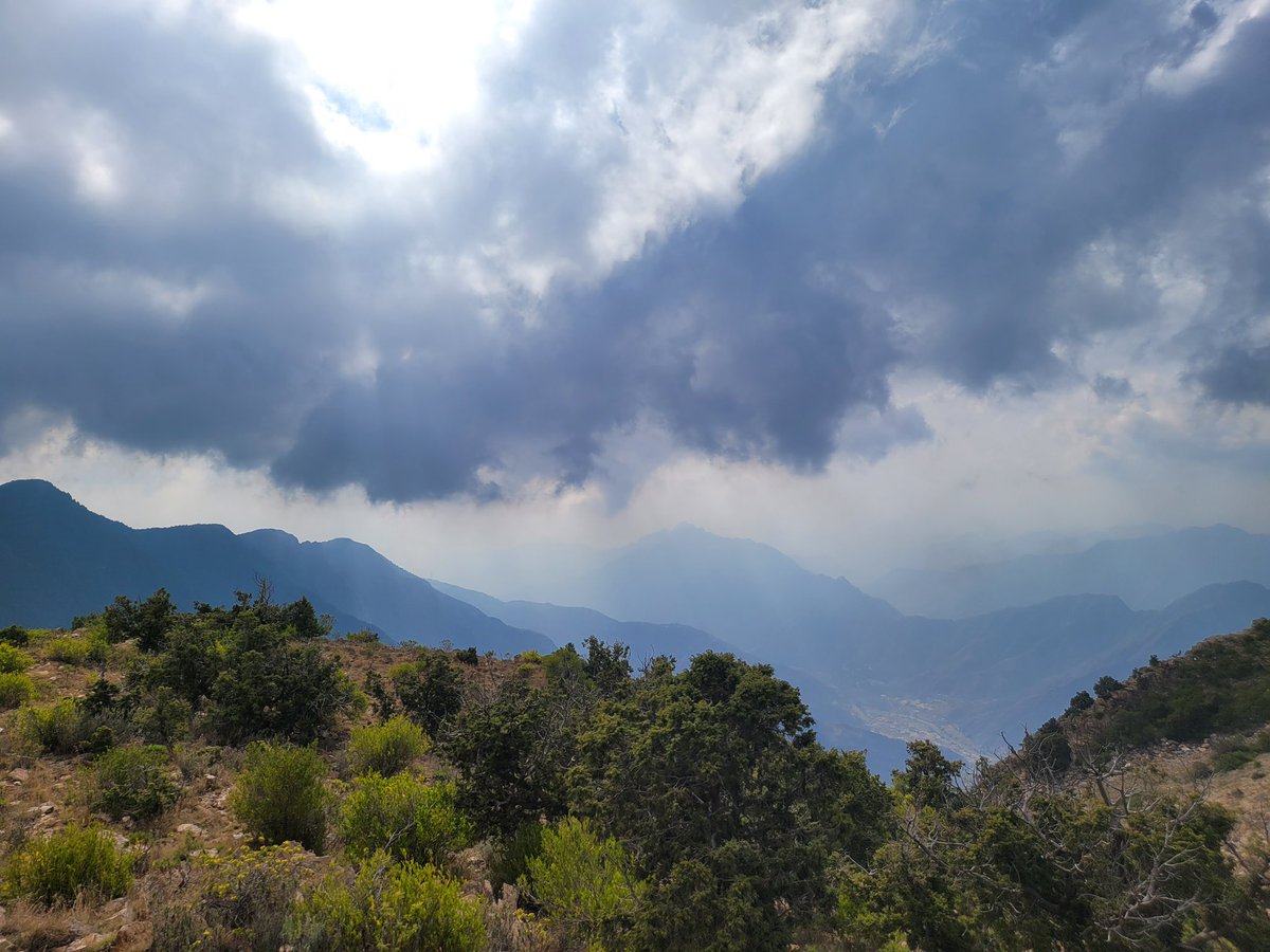 almadanihs's tweet photo. عسير القمم والشموخ. ⛰️ 
#شتاء_السعودية https://t.co/HwySjeqyo2