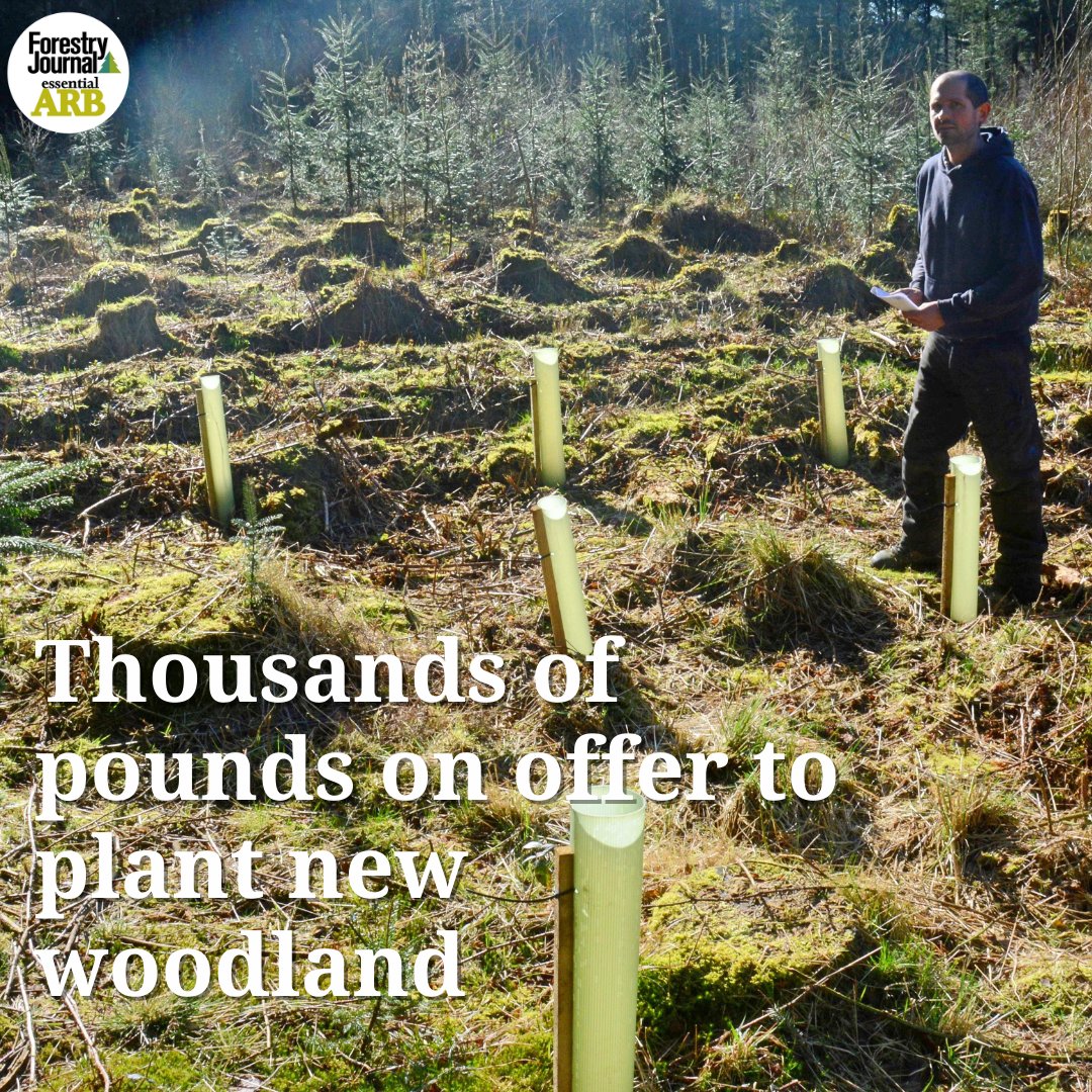 THOUSANDS of pounds are available to plant and adapt woodland to be resilient to climate change, thanks to a new five-year partnership. 🔗 tinyurl.com/2p9bdw26