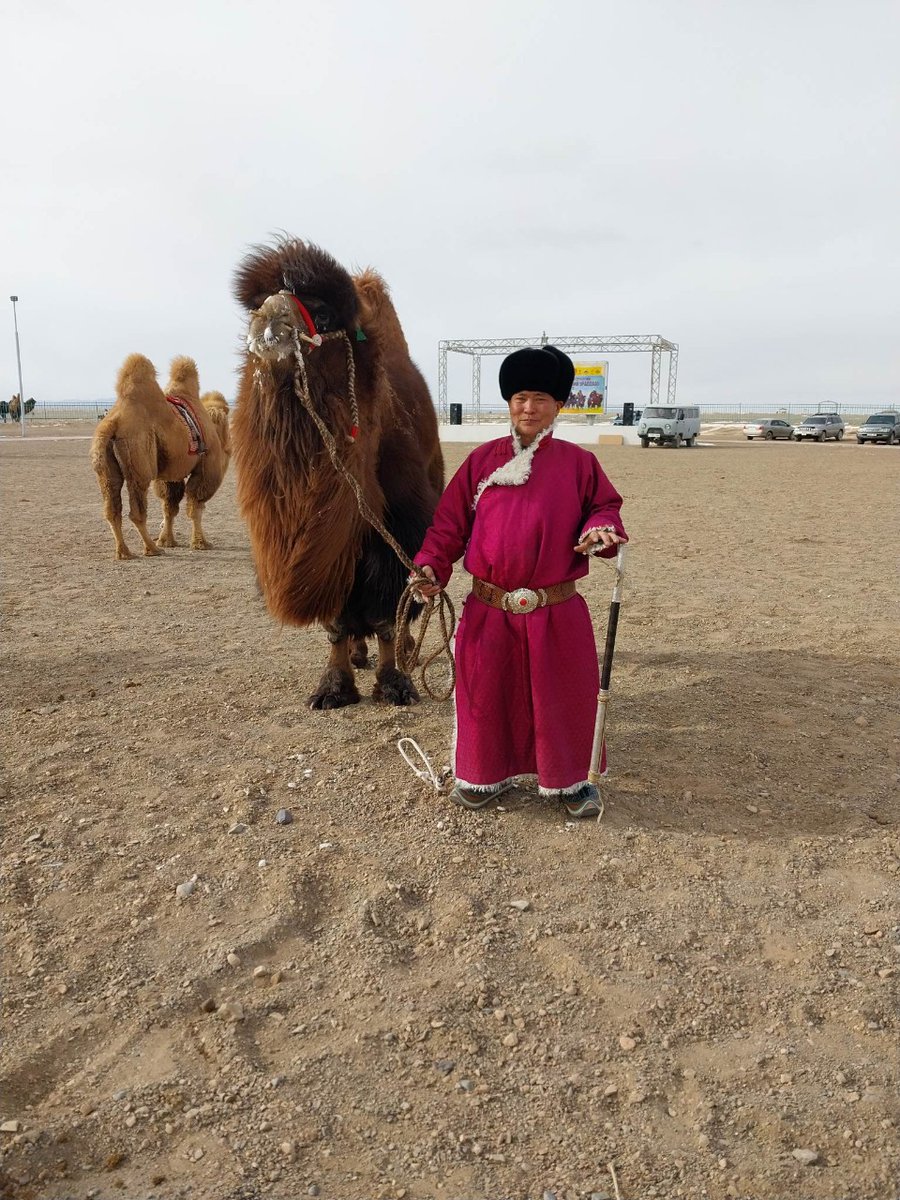 It may be -20c in the day and -40c at night but the South Gobi herders took some time out for the camel festival. That's Enkhtur, the president of the Shurkhaan Zalaa group riding the camel.
#goodgrowth #camels #brrr #mongolia