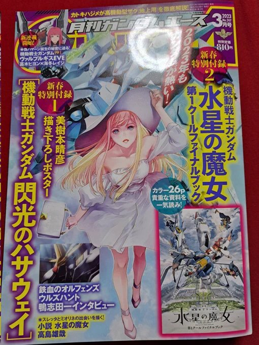 ガンダムエース買ってきましたー! 