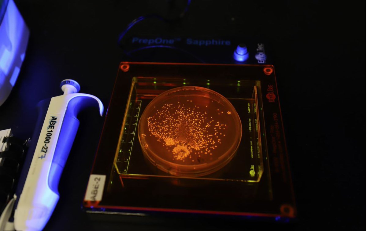 UTM_Research's tweet photo. 🔬Based at #UTM, the Amgen Biotech Experience Program provides local high school teachers with equipment, supplies, curriculum, and professional development — and it’s helping inspire the next generation of scientists.  

Read the story at https://t.co/CYaVLoa3QA. https://t.co/skkI91eIiP