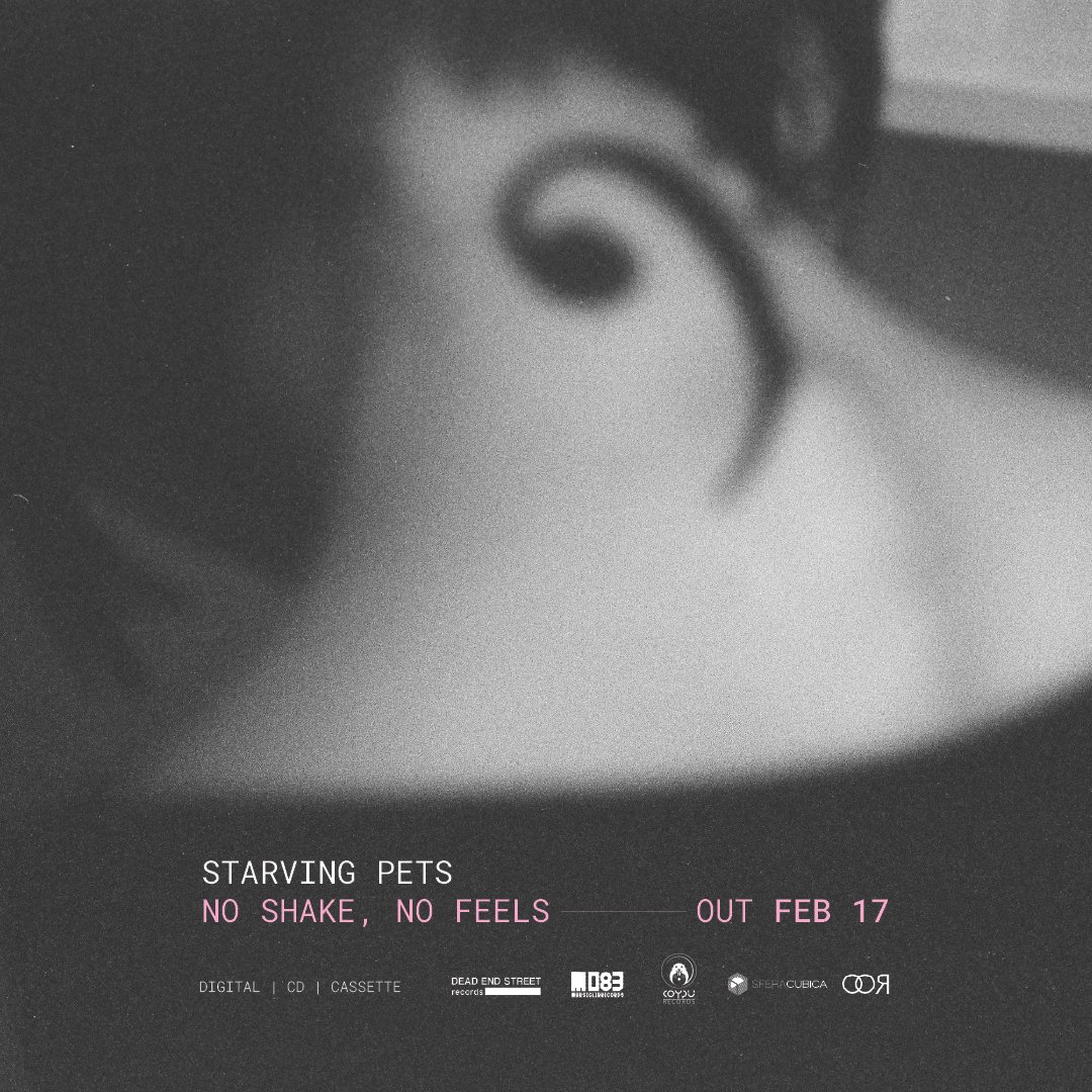 EndiNewton's tweet image. Less than a month. 
No shake,No Feels | FEB 17

CD | MC | Digital
Dead End Street Records, Marsiglia Records, Coypu Records. 

#indierock #shoegaze #slowcore
