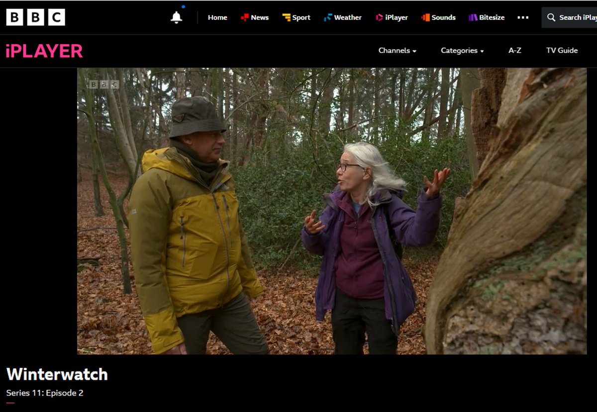 British Mycological Society (@britmycolsoc) on Twitter photo Did you see: Prof Lynne Boddy <a href="/FungusProf/">FungusProf</a> talking to
<a href="/ChrisGPackham/">Chris Packham</a> about veteran trees & using fungi to support woodland habitats? #Winterwatch Episode 2 18 January. bbc.co.uk/iplayer/episod… <a href="/BBCSpringwatch/">BBC Springwatch</a>
#fungi #trees #woodland #habitats #biodiversity #conservation Did you see: Prof Lynne Boddy <a href="/FungusProf/">FungusProf</a> talking to
<a href="/ChrisGPackham/">Chris Packham</a> about veteran trees & using fungi to support woodland habitats? #Winterwatch Episode 2 18 January. bbc.co.uk/iplayer/episod… <a href="/BBCSpringwatch/">BBC Springwatch</a>
#fungi #trees #woodland #habitats #biodiversity #conservation