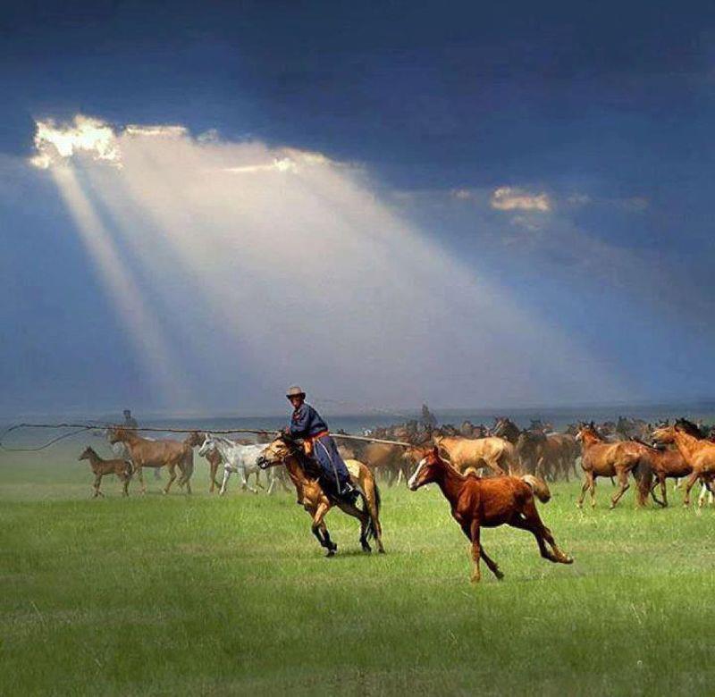 Mongolia tweet media