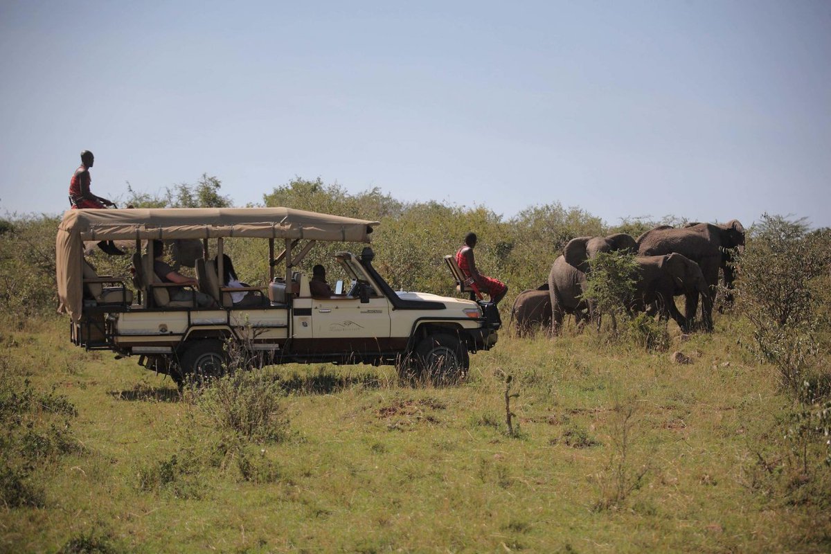 Vayenitravel's tweet photo. Open converted game drive vehicles with Ranger and Masai spotter!
๐ธ @bushtops
#Vayenitravel #dmc #safariexperts #luxurytravel #luxuryvacation #travelwithus #MaraBushtopsCamp #Africa #visitafrica #1dmc #exclusiveexperiences #Kenya #MasaiMara #explore #bushtops #vayeni #masai https://t.co/bHbEnx7Hy0