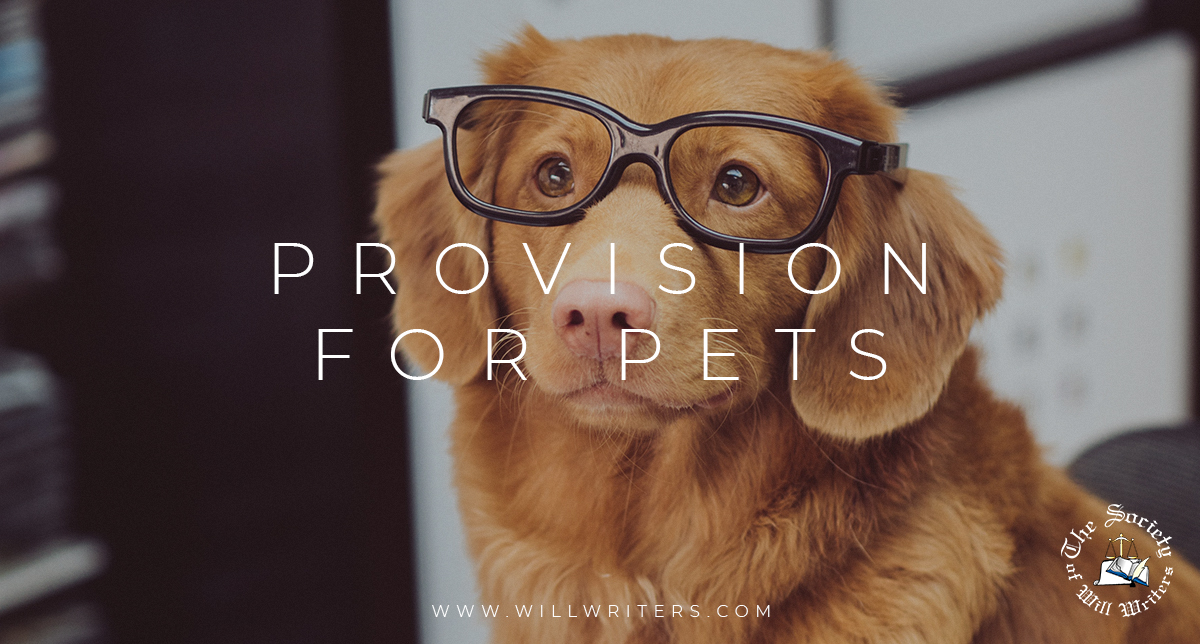 For those of you who are parents to fur babies or any other animals, you can make provisions for them in your Will.

Find out more here: ow.ly/VO1t50MxxT8

#sww #wills #estateplanning