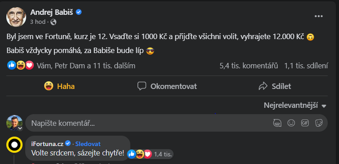 Obrázek