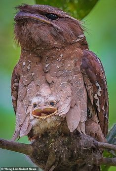 wimbeunderman's tweet photo. How would you caption this? – Wat voor bjschrift hoort hierbij?
#branding #storytelling #communication #imagination #interpretation #communicatie #verbeelding #interpretatie https://t.co/DVNEnWRZYG