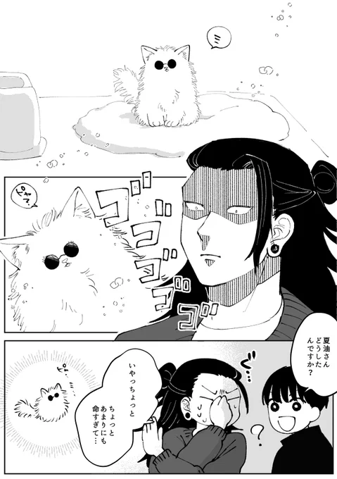 夏五(猫) 出会い 