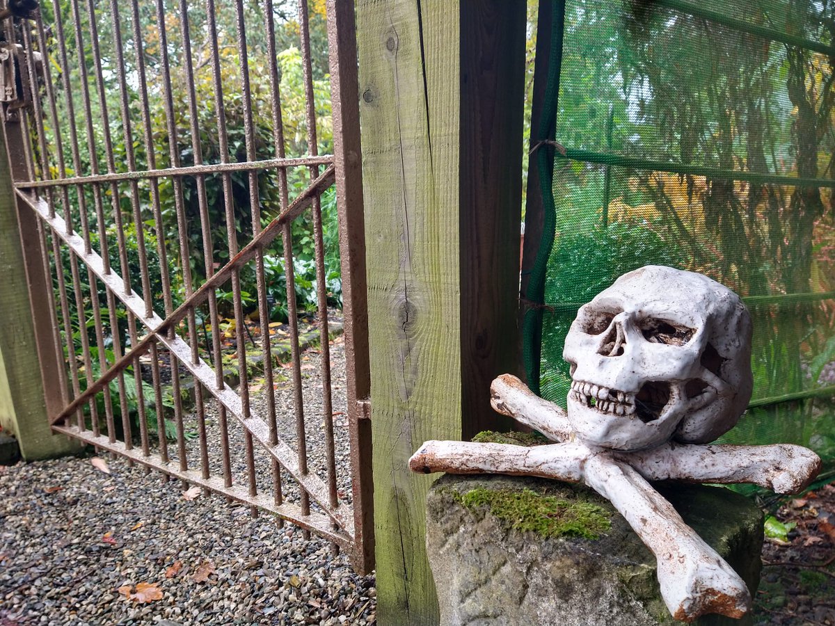 Gardens and plants - alpines and poisonous! 
Country Focus coming up on bbc.co.uk/radiowales at 7 o'clock this morning 
<a href="/carolineevans10/">caroline evans</a> <a href="/WalesYFC/">Wales YFC</a> <a href="/walesbotanic/">🏴󠁧󠁢󠁷󠁬󠁳󠁿 Gardd Cymru 🌿 Garden of Wales</a>  <a href="/C_Dearden/">Chris Dearden</a> <a href="/Cwm_Idwal/">Cwm Idwal</a> @eryrinpa <a href="/Team_BMC/">British Mountaineering Council</a> <a href="/BryngwynHall/">Bryngwyn</a>