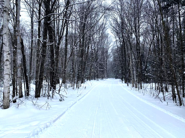Township of Algonquin Highlands tweet media