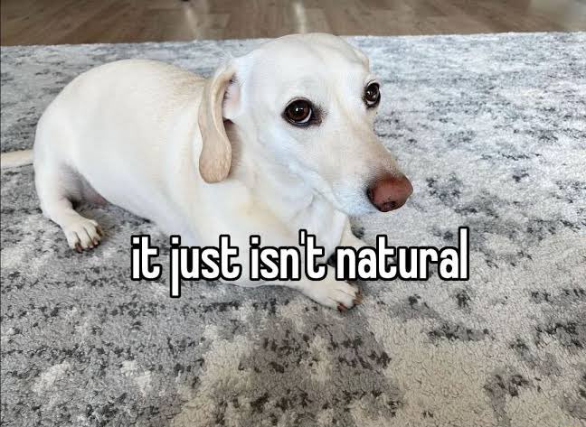 eli (@at__tsumu) on Twitter photo 