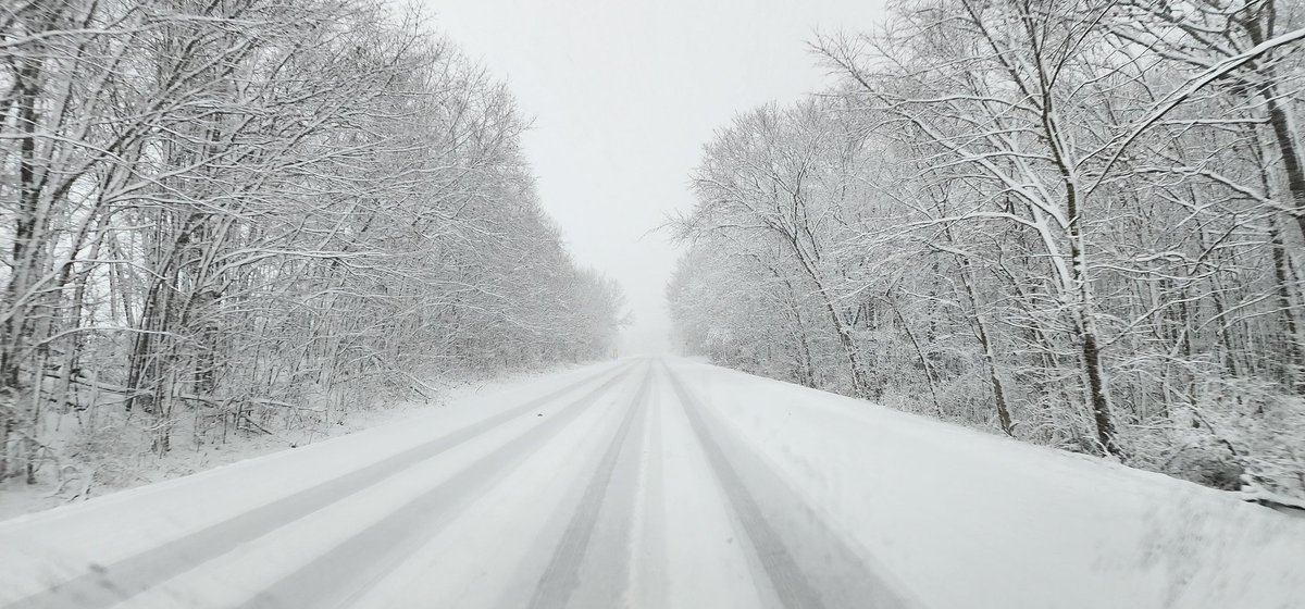 SDGanja420's tweet image. Into the snow abyss I go! #snowstorm #snowfall #MichiganWeather #thursdayvibes