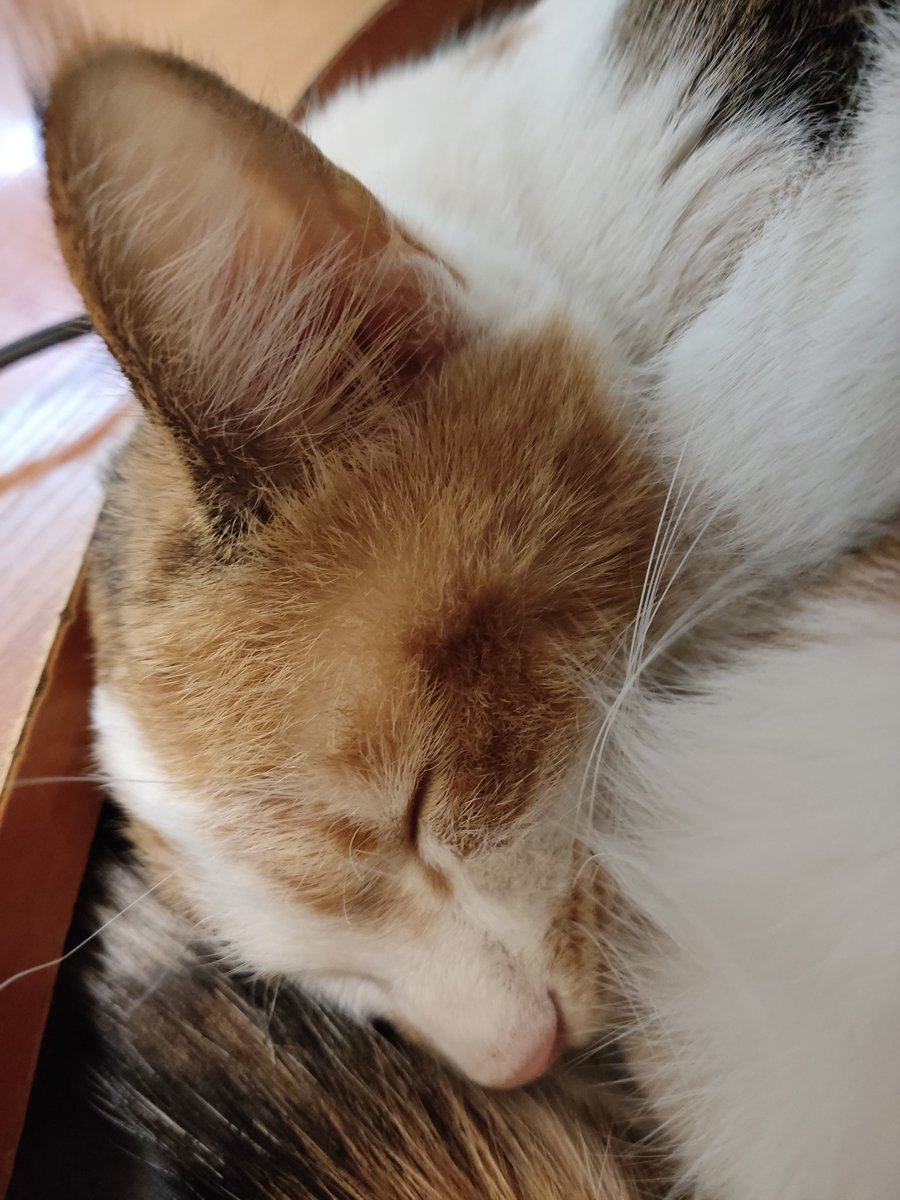 Vlalalad tweet media