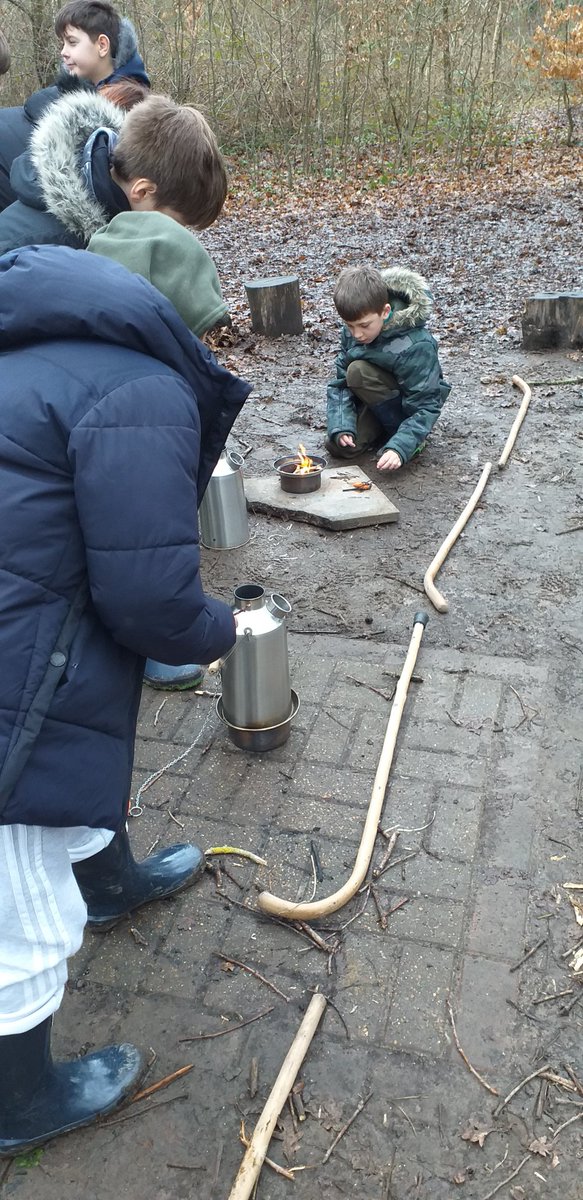 Bysing Wood Primary tweet media