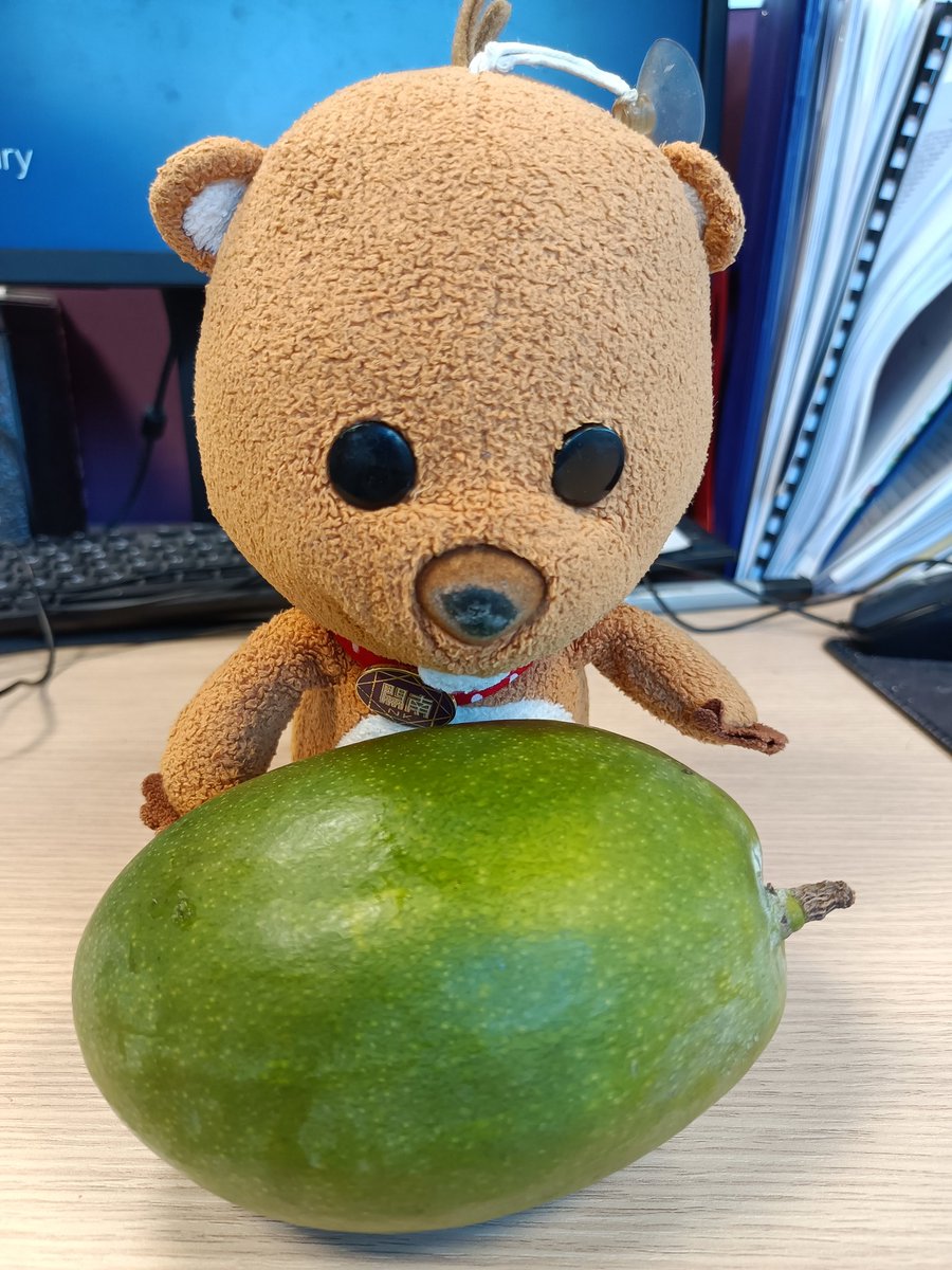 Smallotter2017's tweet photo. When Smallotter eat mango, it  is missing the hometown. https://t.co/GBsYF3wf9t