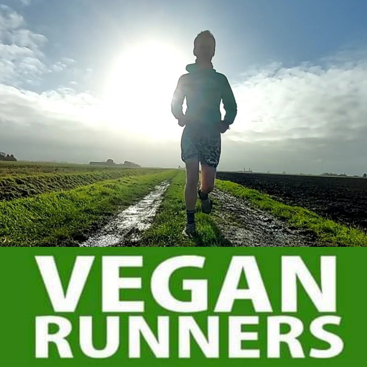 ultra_vegan's tweet image. Just under 4 months to go!

I'm running a 100 mile ultra-marathon in May to raise money for Jacobs Ridge Animal Sanctuary 🐴

If you can spare a few pennies, please sponsor me here or re-tweet so it can reach more people 👇👇

justgiving.com/crowdfunding/s….