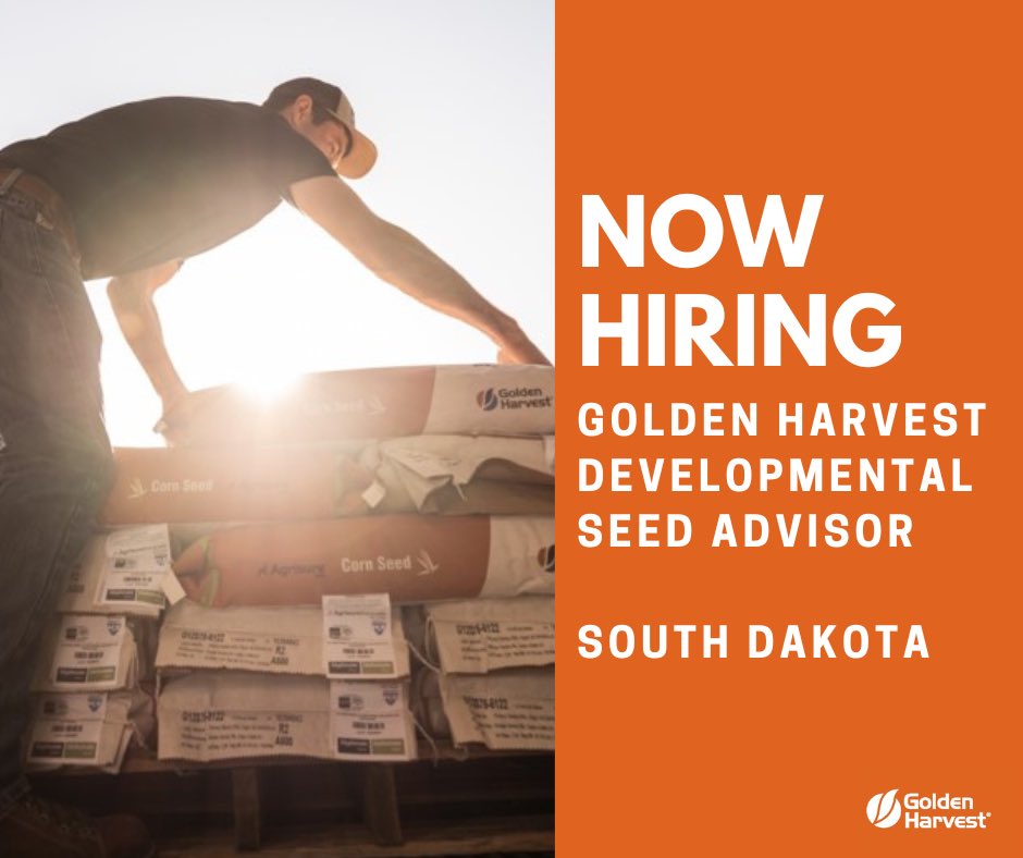 GrantMerron's tweet image. Golden Harvest is growing and we have multiple locations across South Dakota available for Development seed advisors. #hiring @GldnHarvest 

Check it out here: jobs.smartrecruiters.com/SyngentaGroup/…