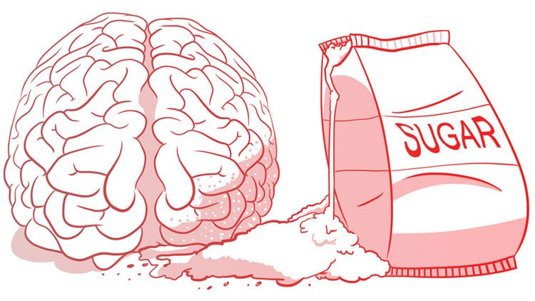 DrRichHuntsman's tweet photo. Sugar intake is at all time highs with the average American consuming 150 pounds per year.

Not only is this causing rampant obesity, it is also causing rapid declines in brain health.

Here are the top 8  ways your sugar addiction is destroying your brain: https://t.co/94o6TmuH0v