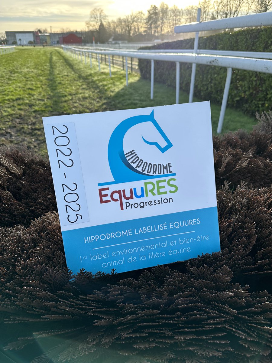 ENVIRONNEMENT 🌱

Labellisés #Equures échelon #progression

Honorés que nos efforts en matière de développement durable, de bien-être animal soient maintenant reconnus par le Ministère de l'Agriculture

👍🏻👏🏻les équipes
Next step : échelon #Excellence 🎯

#paumaville #raceandcare