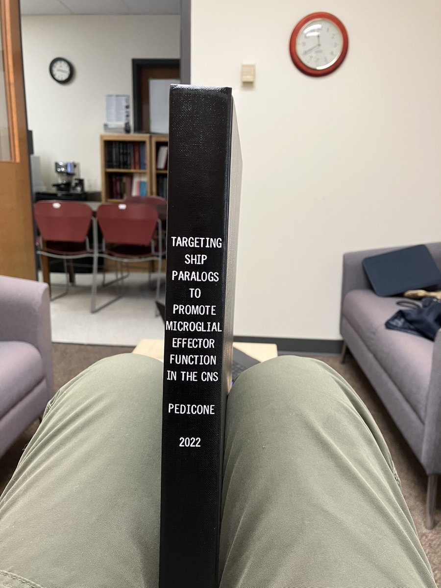 KerrShip's tweet photo. Look what just turned up. A mere 8 months after the oral defense. @ChiaraPedicone #INPP5D #INPPL1 #panSHIPi #K161 #K306 #microglia #Alzheimers https://t.co/8w0zFoVpXd