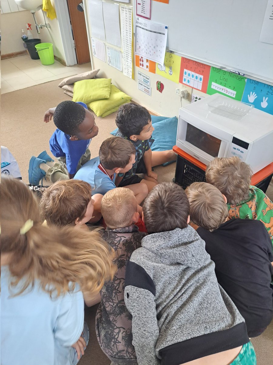 becia1978's tweet image. What does inquiry look like? #grade2 Ss inquired into procedural writing and scientific process. Integration between English and UOI allowed Ss to give instructions about how to make popcorn and conduct an experiment to find out the answers. #learningAtWis