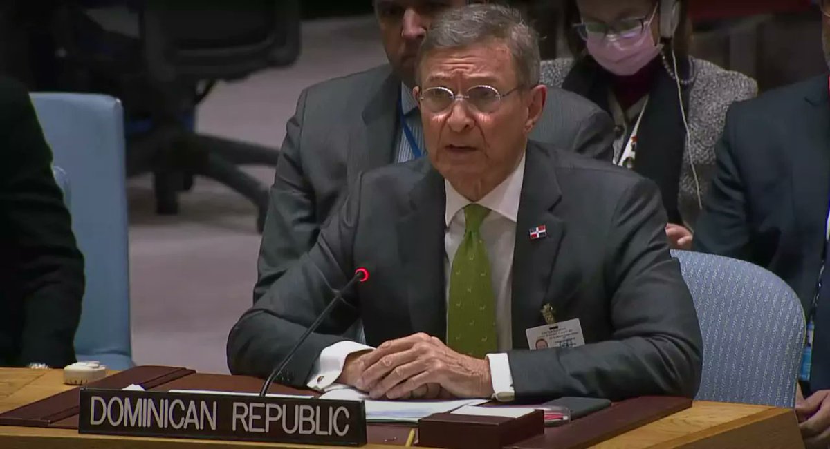 donfelixspm's tweet image. ¿Por qué  en los escenarios internacionales nadie hace caso a las razonables advertencias de Rep. Dom. sobre Haití ?