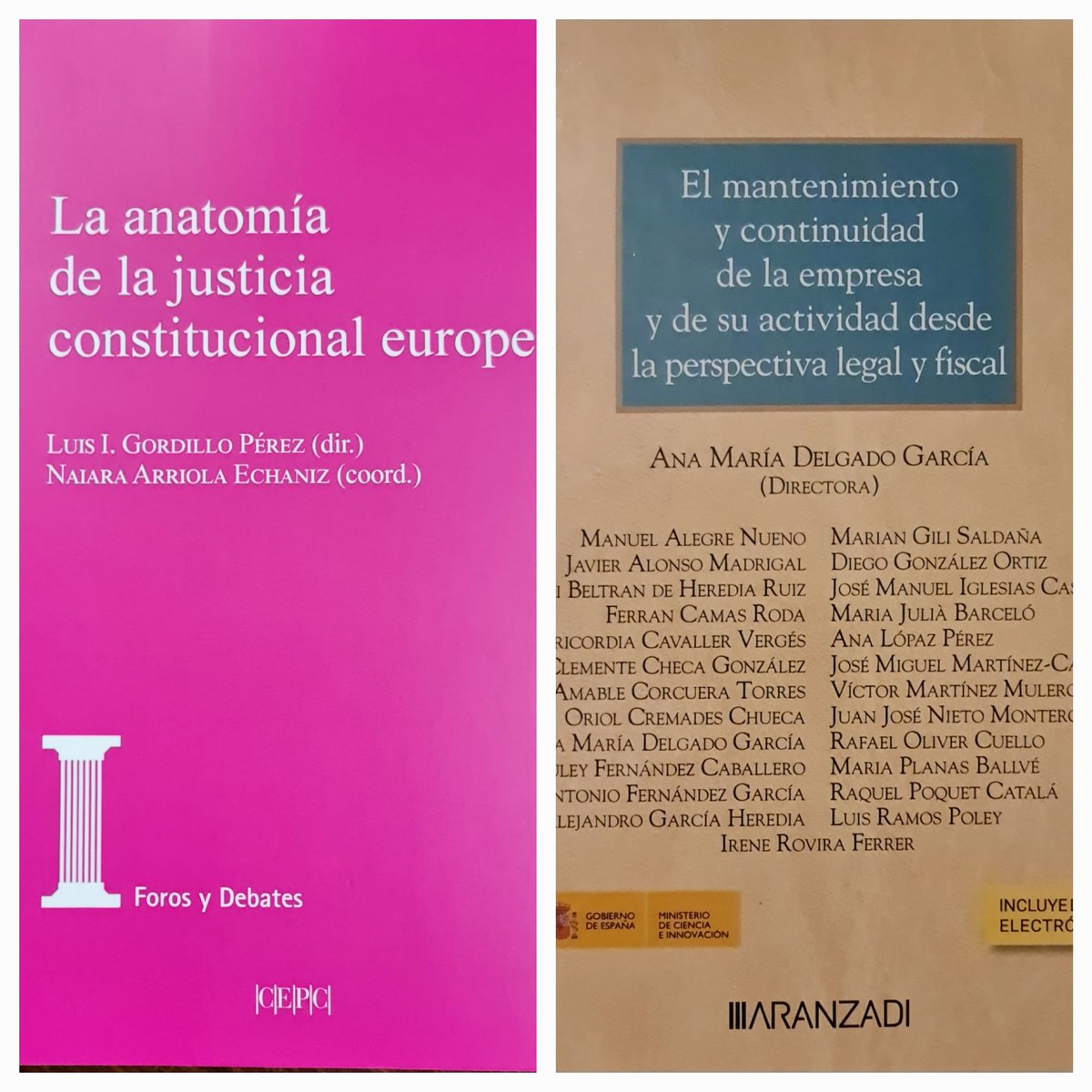 Acabo de recibir dos frutos de los últimos meses. Dos capítulos en las obras coordinadas por <a href="/LuisIGordillo/">Luis Gordillo</a> y <a href="/anadelgadoga/">Ana M Delgado García</a>, frutos de sendos proyectos de investigacion financiados, en las que comparto con muchos compañeros y amigos. Un honor. Mil gracias a los coordinadores.