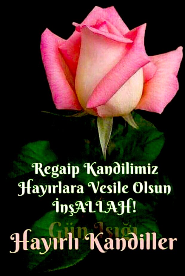 "Şüphesiz Allah’ın gökleri ve yeri yarattığı günkü yazısına göre ayların sayısı on ikidir. Bunlardan dördü haram aylardır. İşte bu, Allah’ın dosdoğru kanunudur. Öyleyse o aylarda kendinize zulmetmeyin." (Tevbe, 9/36)