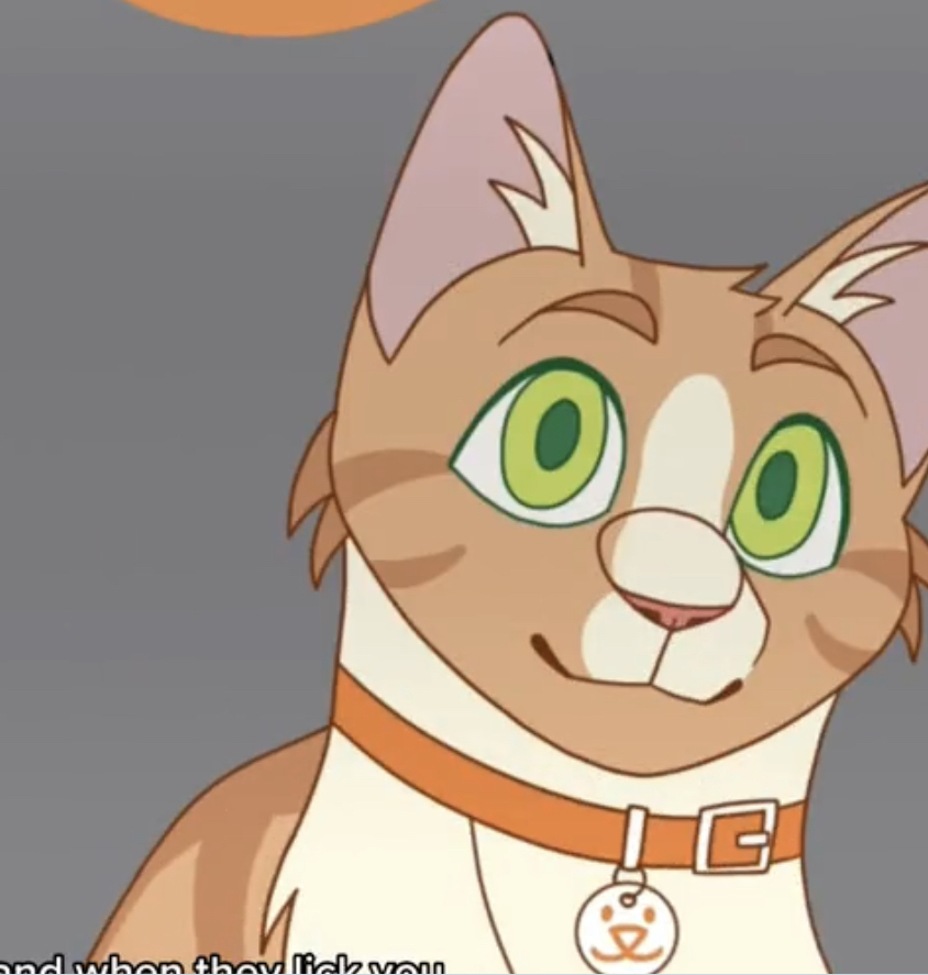 AnimalVillageNM's tweet image. Does YOUR Cat Buddy Lick You? That means…
  #cats #indoorcats #insidecat #tabby #kitties